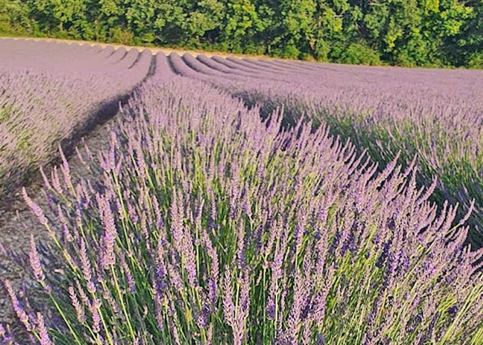 شقة Domaine Lapeze Montcuq المظهر الخارجي الصورة