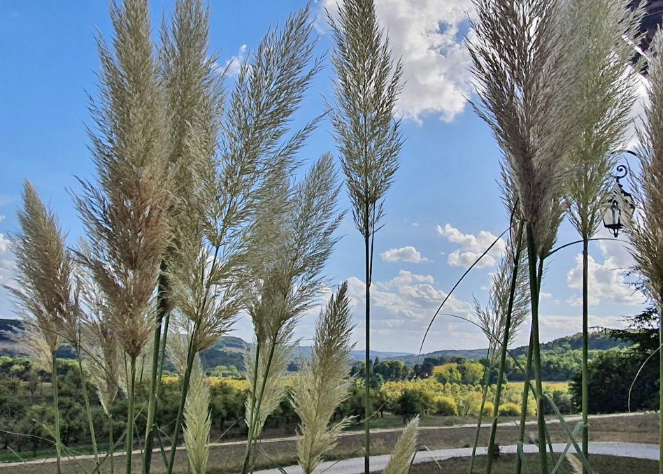 شقة Domaine Lapeze Montcuq المظهر الخارجي الصورة